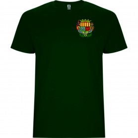 CAMISETA INFANTIL M/C FALLA MERCAT PICASSENT