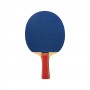 RAQUETA TENIS DE MESA SOFTEE P030