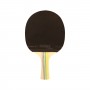 RAQUETA TENIS DE MESA SOFTEE P300
