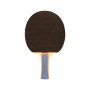 RAQUETA TENIS DE MESA SOFTEE P100